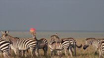 3 Days and 2 Nights Private 4WD Safari Adventure in Masai Mara