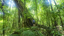 Mossman Gorge Daintree Experience Small Groups