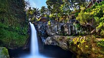 Bali Full-Day Tours : Waterfall and Ubud Destination Trip
