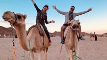Hurghada 3-Hour ATV & Camel Desert Safari