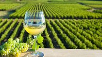 Loire Valley Wine Half Day Tour in Vouvray