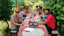 Guided E-Bike Tour with Wine Tasting from Lucca