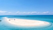 Romantic Nakupenda Bis/Nyange Sandbank Trip