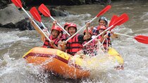 Ayung River Rafting in Ubud including Buffet Lunch