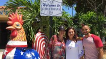 Private Cultural and Food Walking Tour of Little Havana