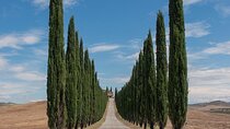 From Rome: Private Day-Tour of Tuscany