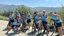 Cycling Through Vineyards & Farm Lunch & Ephesus visit