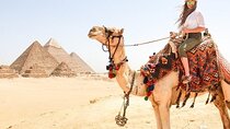 1 Hour Camel Ride At Pyramids of Giza 