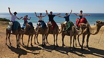 Private Tour: Day through Gibraltar and Morocco, Tangier from Seville