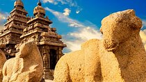 Private Tour South India and Goa for 27 Days