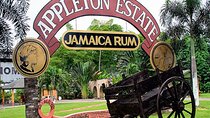 Private Black River and Appleton Rum Tour From Negril