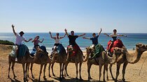 Private Day Tour in Gibraltar and Tangier, Morocco from Malaga