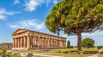 Private Tour to Paestum and Mozzarella Factory 