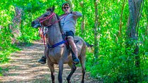 Punta Cana Horseback Ride: Jungle, Macao Beach & Free Pick Up