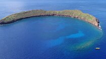5 Hour Molokini Snorkel & Turtle Tour in Maui