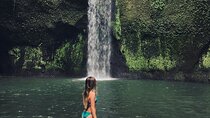 Best Of Ubud Waterfalls, Rice Terrace and Jungle Swing Tour 