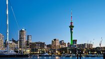 Auckland City Highlights and Hidden Gems Half Day Tour