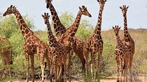Nairobi: Karen Blixen, Beads Factory and Giraffe Center Day Tour