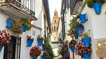 Private tour in Cordoba w/ hotel or shore pickup on Costa del Sol