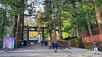 Nikko Full-Day Private Tour from Tokyo (Customizable)