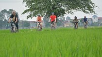Hanoi Countryside By Bike & Local House and Food Tasting