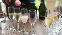 Sparkling Wine Tour and Premium Tasting with Private Transport
