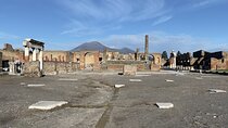 Pompeii and Vesuvius Small Group Tour from Sorrento