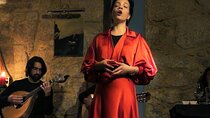 Fado Dinner Show and Night Lights Tour in Porto