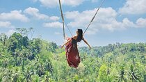 Bali Swing, Monkey Forest and Waterfall Private Tour