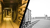 Auschwitz Birkenau Transfer and Guide with Salt Mine Combo Option