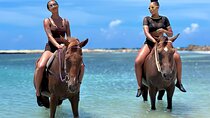 Bamboo Rafting & Horseback Ride n Swim Guided Tour in Montego Bay