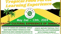NatureCures Tropical Food Forest 12 Day Group Experience