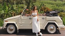 Bali Classic Volkswagen Safari and Ubud Village Tour