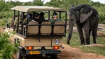 Full Day Chobe Safari - From Victoria Falls