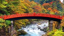 Nikko Private Tour by Car with English Speaking Chauffeur
