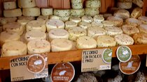 Wine and Cheese tour in Chianti: A Gourmet Experience