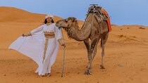 2 Nights in Luxury Camp and Camel Trekking in Merzouga Desert