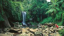 Mount Tamborine Hop on Hop off Bus from Brisbane
