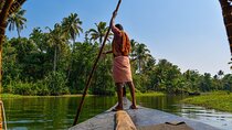 Village Backwater Punting Boat Tour From Alleppy