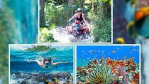 Bali Snorkeling 2 Spots & ATV Quad Bike with Lunch & Transfer