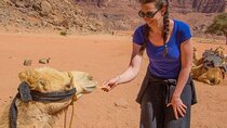 3 Day Group tour from Amman to Petra Wadi Rum Aqaba Dead Sea