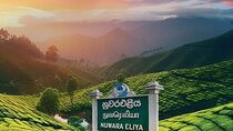 Airport Taxi Transfers from Colombo Airport to Nuwara Eliya