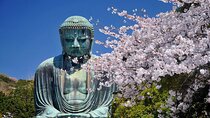 Private Kamakura Enoshima Tour from Tokyo w/ pickup & local guide