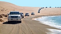 Private Half Day Desert Safari Tour