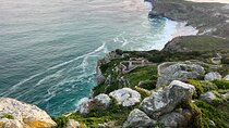 Cape Peninsula Full Day Private Experience 