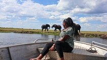 Full Day Chobe Safari Tour with Return Transfers