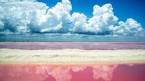 Full day tour to Rio Lagartos and Las Coloradas from Riviera Maya