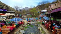 Marrakech: Ourika Valley, Atlas Mountains, Waterfalls Hike, Lunch