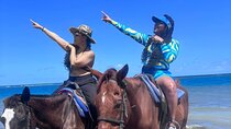 Private Horseback Riding, Swim & Blue Hole Secret Falls 