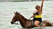 Horseback Ride Experience